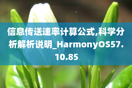 信息传送速率计算公式,科学分析解析说明_HarmonyOS57.10.85