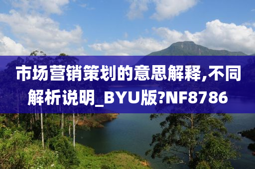 市场营销策划的意思解释,不同解析说明_BYU版?NF8786