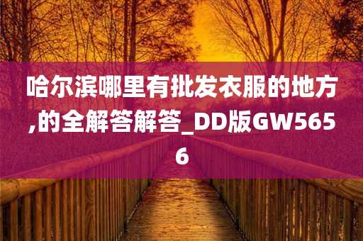 哈尔滨哪里有批发衣服的地方,的全解答解答_DD版GW5656