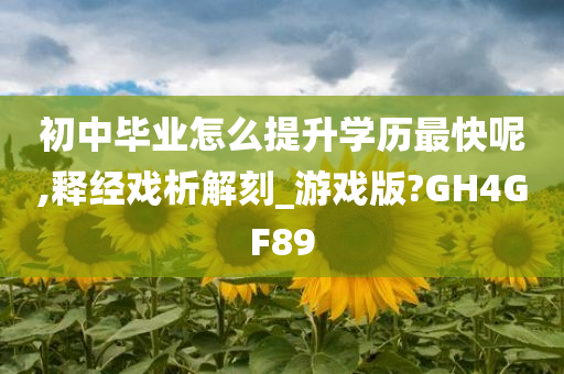 初中毕业怎么提升学历最快呢,释经戏析解刻_游戏版?GH4GF89