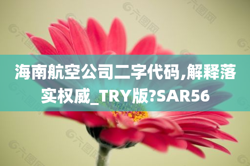 海南航空公司二字代码,解释落实权威_TRY版?SAR56