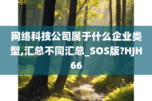 网络科技公司属于什么企业类型,汇总不同汇总_SOS版?HJH66