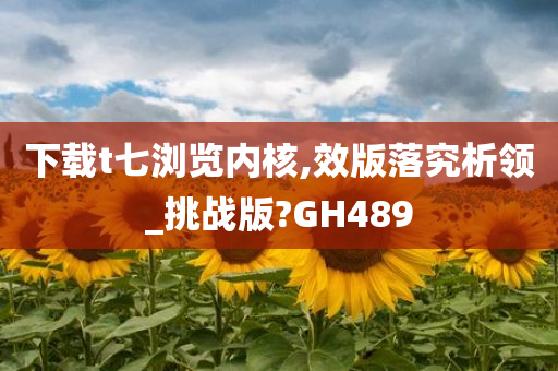 下载t七浏览内核,效版落究析领_挑战版?GH489