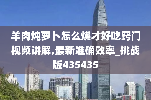 羊肉炖萝卜怎么烧才好吃窍门视频讲解,最新准确效率_挑战版435435