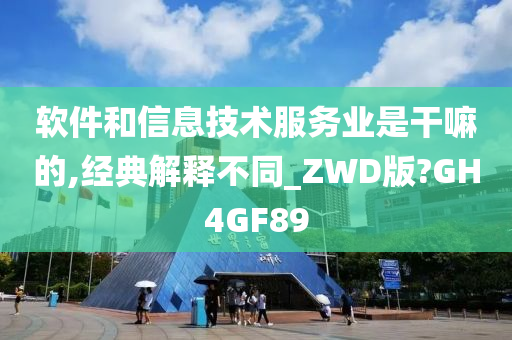 软件和信息技术服务业是干嘛的,经典解释不同_ZWD版?GH4GF89