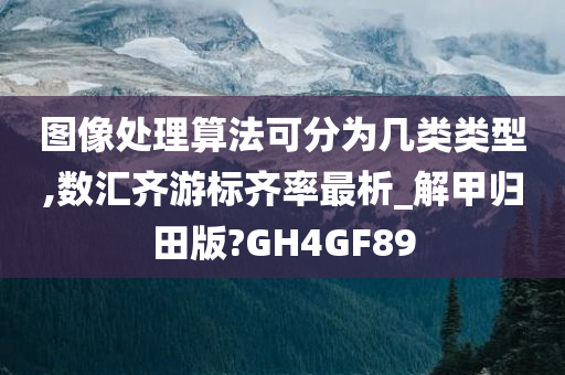 图像处理算法可分为几类类型,数汇齐游标齐率最析_解甲归田版?GH4GF89