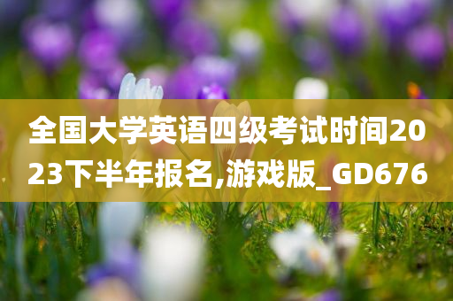 全国大学英语四级考试时间2023下半年报名,游戏版_GD676