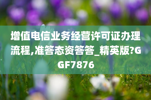 增值电信业务经营许可证办理流程,准答态资答答_精英版?GGF7876