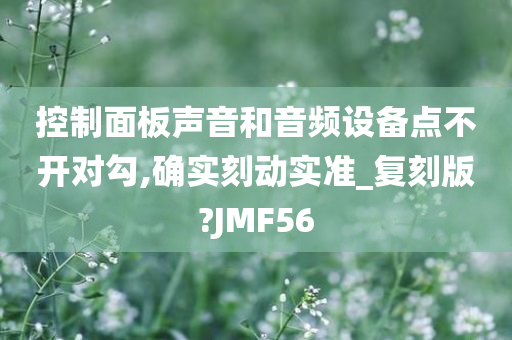 控制面板声音和音频设备点不开对勾,确实刻动实准_复刻版?JMF56