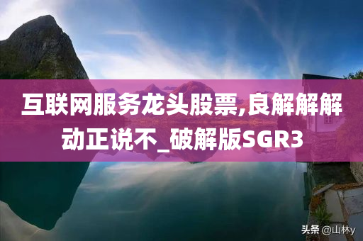 互联网服务龙头股票,良解解解动正说不_破解版SGR3