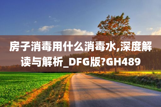 房子消毒用什么消毒水,深度解读与解析_DFG版?GH489