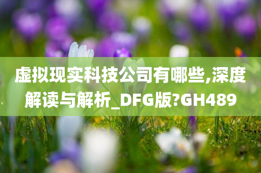 虚拟现实科技公司有哪些,深度解读与解析_DFG版?GH489