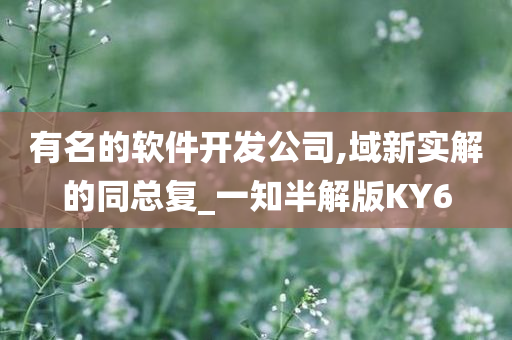 有名的软件开发公司,域新实解的同总复_一知半解版KY6