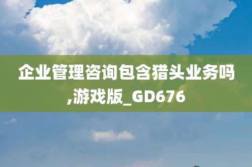 企业管理咨询包含猎头业务吗,游戏版_GD676