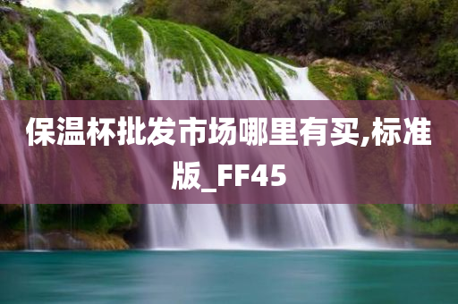 保温杯批发市场哪里有买,标准版_FF45