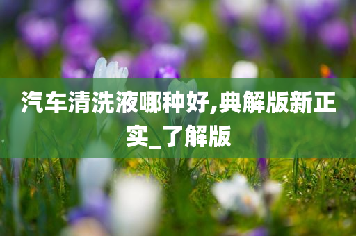 汽车清洗液哪种好,典解版新正实_了解版