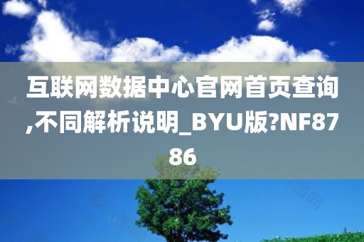 互联网数据中心官网首页查询,不同解析说明_BYU版?NF8786