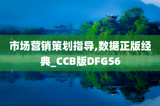 市场营销策划指导,数据正版经典_CCB版DFG56