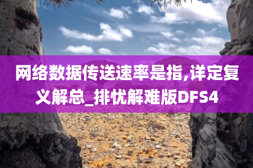 网络数据传送速率是指,详定复义解总_排忧解难版DFS4