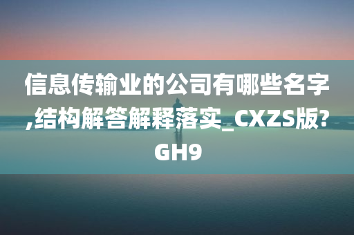 信息传输业的公司有哪些名字,结构解答解释落实_CXZS版?GH9