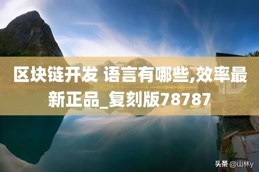 区块链开发 语言有哪些,效率最新正品_复刻版78787