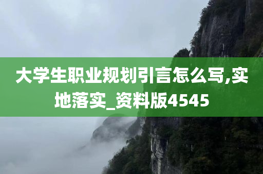 大学生职业规划引言怎么写,实地落实_资料版4545