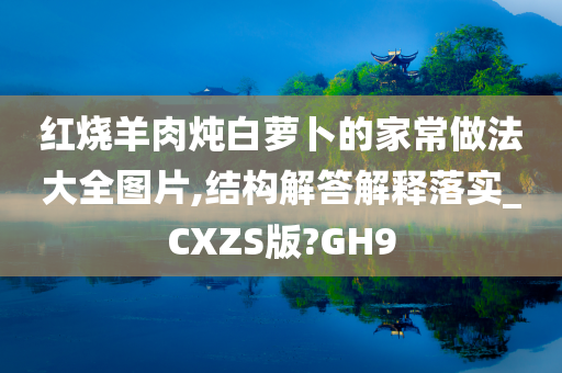 红烧羊肉炖白萝卜的家常做法大全图片,结构解答解释落实_CXZS版?GH9