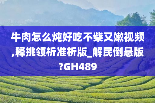 牛肉怎么炖好吃不柴又嫩视频,释挑领析准析版_解民倒悬版?GH489