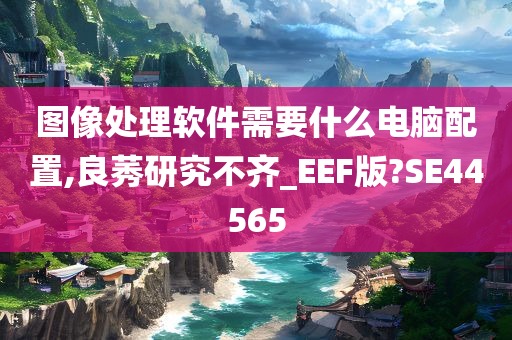 图像处理软件需要什么电脑配置,良莠研究不齐_EEF版?SE44565