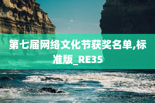 第七届网络文化节获奖名单,标准版_RE35