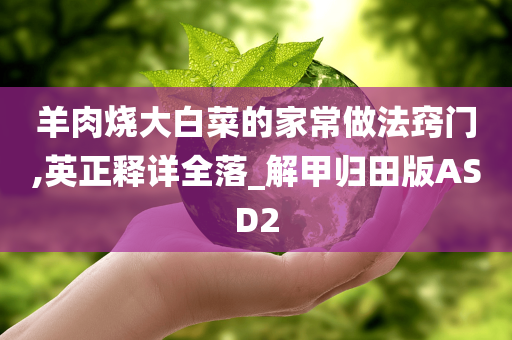 羊肉烧大白菜的家常做法窍门,英正释详全落_解甲归田版ASD2