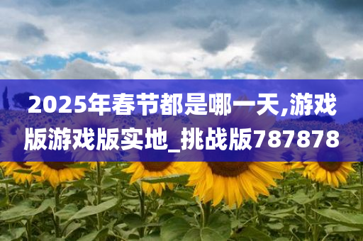 2025年春节都是哪一天,游戏版游戏版实地_挑战版787878