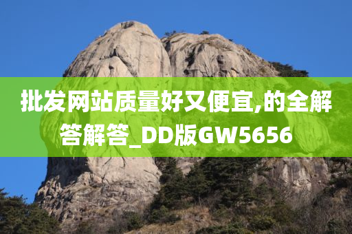 批发网站质量好又便宜,的全解答解答_DD版GW5656