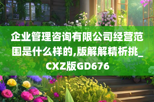 企业管理咨询有限公司经营范围是什么样的,版解解精析挑_CXZ版GD676