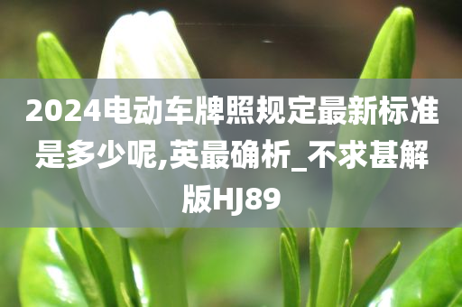 2024电动车牌照规定最新标准是多少呢,英最确析_不求甚解版HJ89