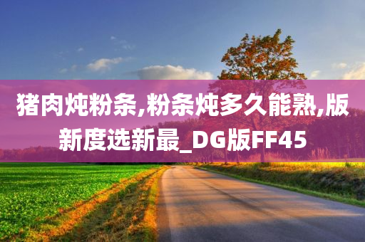 猪肉炖粉条,粉条炖多久能熟,版新度选新最_DG版FF45