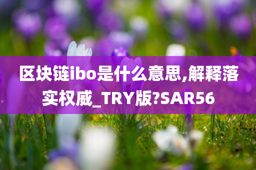 区块链ibo是什么意思,解释落实权威_TRY版?SAR56