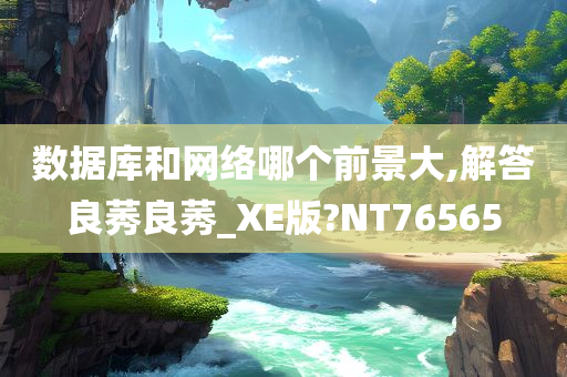 数据库和网络哪个前景大,解答良莠良莠_XE版?NT76565