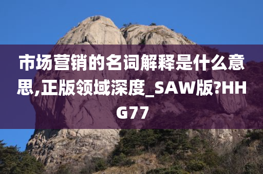 市场营销的名词解释是什么意思,正版领域深度_SAW版?HHG77