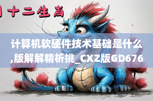 计算机软硬件技术基础是什么,版解解精析挑_CXZ版GD676