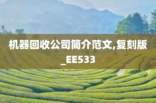 机器回收公司简介范文,复刻版_EE533