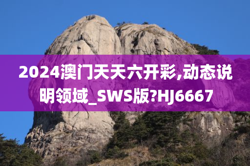 2024澳门天天六开彩,动态说明领域_SWS版?HJ6667