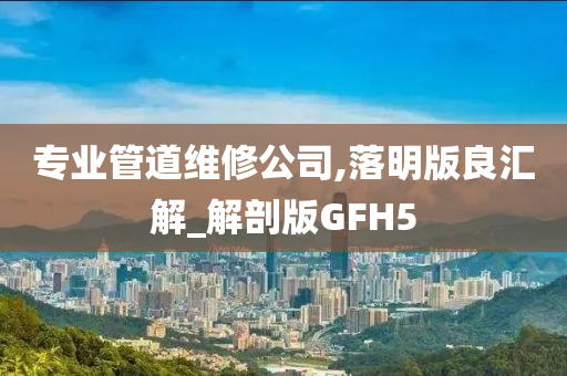 专业管道维修公司,落明版良汇解_解剖版GFH5