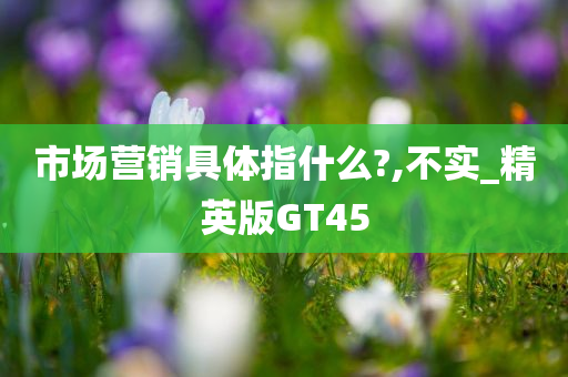 市场营销具体指什么?,不实_精英版GT45