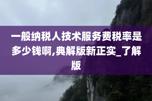 一般纳税人技术服务费税率是多少钱啊,典解版新正实_了解版