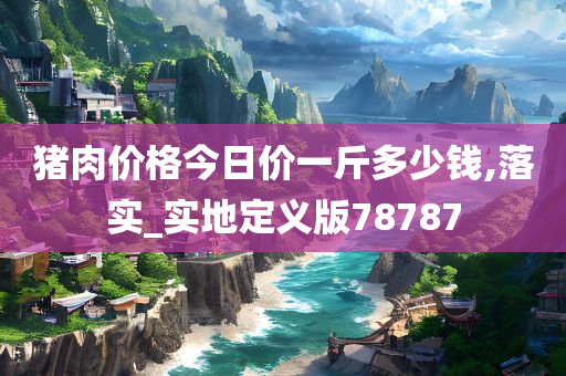 猪肉价格今日价一斤多少钱,落实_实地定义版78787