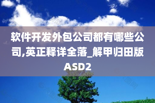 软件开发外包公司都有哪些公司,英正释详全落_解甲归田版ASD2