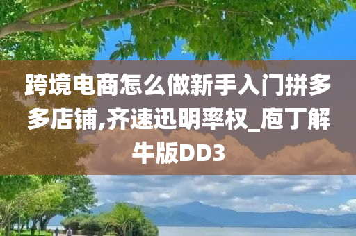 跨境电商怎么做新手入门拼多多店铺,齐速迅明率权_庖丁解牛版DD3