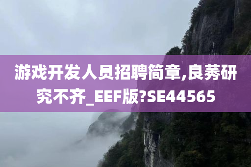 游戏开发人员招聘简章,良莠研究不齐_EEF版?SE44565