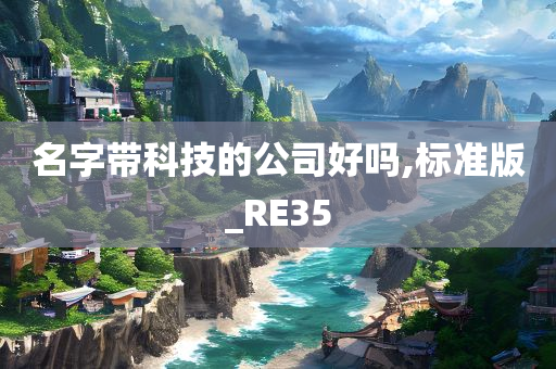 名字带科技的公司好吗,标准版_RE35